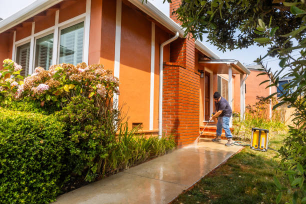 Best Pressure Washing Near Me  in Meadowbrook, AL