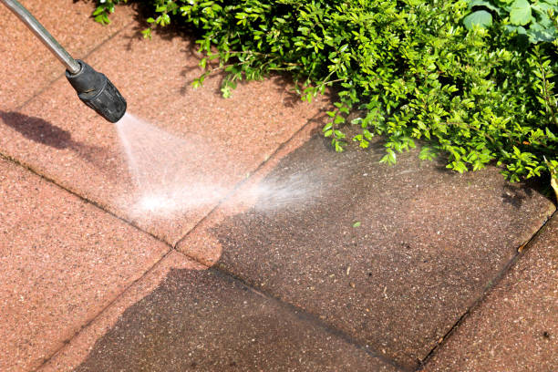 Best Affordable Power Washing  in Meadowbrook, AL